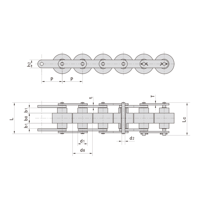 Çift artı zincirler